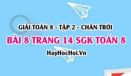 Bài 8 trang 14 Toán 8 Tập 2 Chân trời sáng tạo